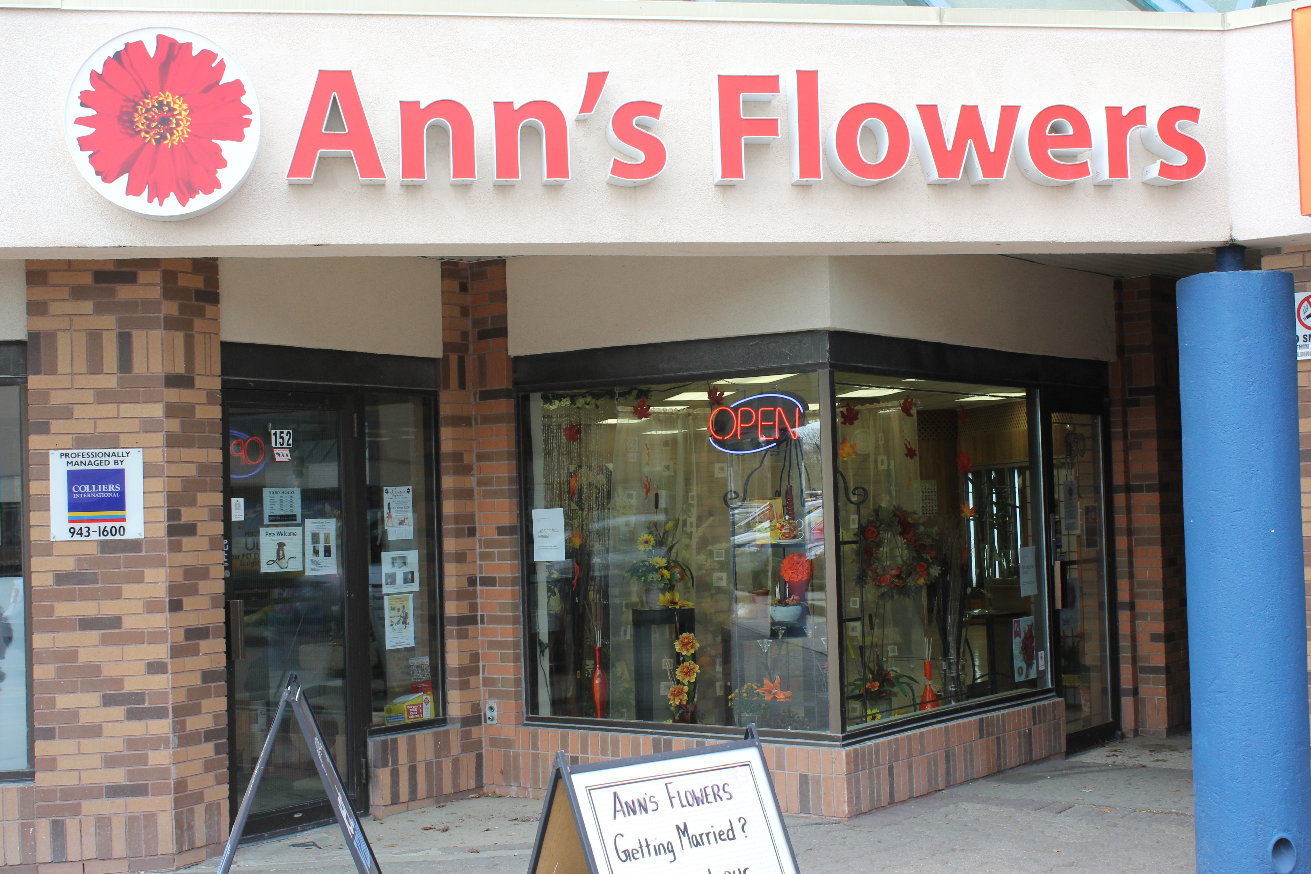 Anns Flowers Winnipeg_0052