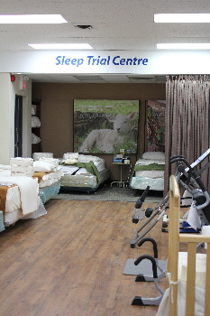 Aviva Natural Health Solutions