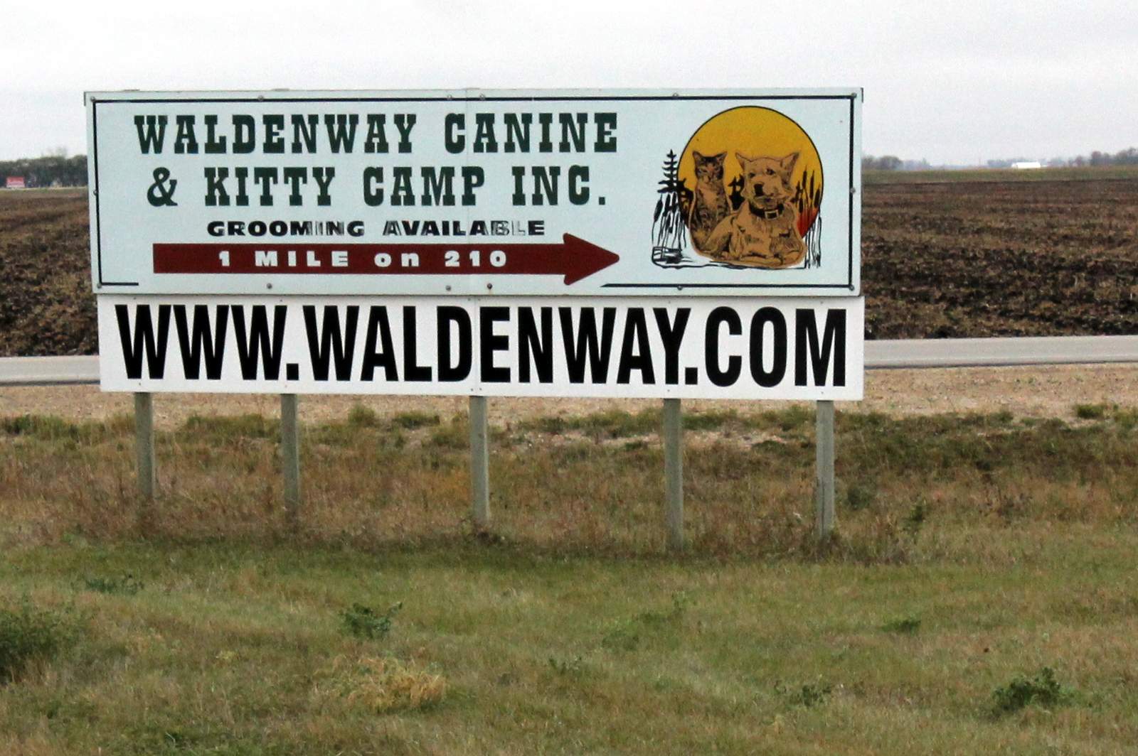 Waldenway Canine & Kitty Camp_0201