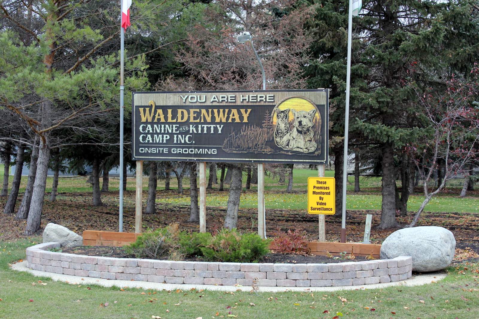 Waldenway Canine & Kitty Camp_0202